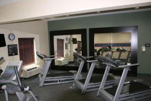 西点西点希尔顿恒庭旅馆&套房酒店的健身房设有数台跑步机和镜子