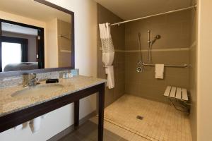 阿尔伯克基阿尔伯克基北/ I-25汉普顿酒店及套房的一间带水槽和淋浴的浴室