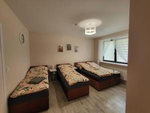 日拉尔杜夫Zestaw rodzinny的一间卧室设有两张床和窗户。