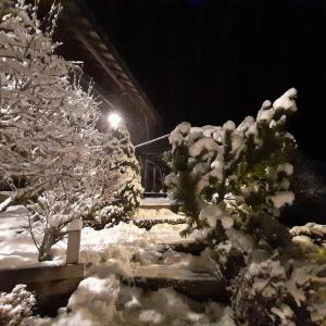 Arâches-la-FrasseChalet de Creytoral的雪覆盖的院子,有树木和街灯