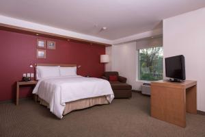 瓜达拉哈拉Hampton by Hilton Guadalajara Expo的配有一张床和一台平面电视的酒店客房