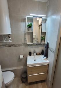 拉格朗德默特Les Appartements De Lina By LG Immo - Self Check-In -的一间带水槽、卫生间和镜子的浴室