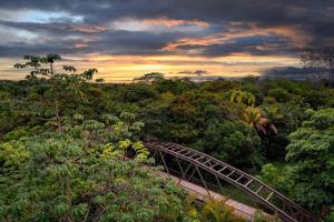 希门尼斯港Botanika Osa Peninsula, Curio Collection By Hilton的森林中间的木桥