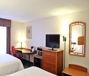 萨尔蒂约希尔顿萨尔蒂约佐娜机场汉普顿酒店的酒店客房配有一张床和一张书桌及一台电视