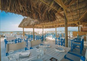威廉斯塔德Mangrove Beach Corendon Curacao All-Inclusive Resort, Curio的海滩上的餐厅设有蓝色的桌椅