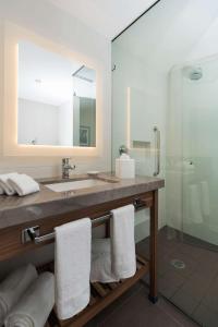 莱昂莱昂汉普顿酒店的一间带水槽和玻璃淋浴的浴室