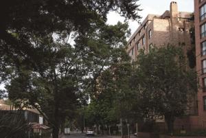 波哥大波哥大-罗萨莱斯希尔顿合博套房酒店的建筑前有树木的街道