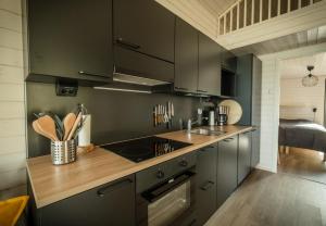 伊瓦洛Norlight Cottages Ivalo - Aurinko East的厨房配有深绿色的橱柜和水槽