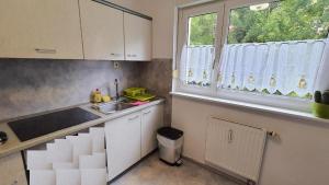 特里贝格Two-Bedroom Apartment near Triberg Waterfall的厨房配有白色橱柜、水槽和窗户。