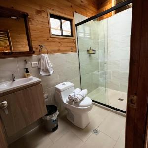 麦德林Monte Santa Elena的一间带卫生间和玻璃淋浴间的浴室
