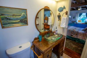 萨凡纳Stella Blue - A的一间带水槽和镜子的浴室