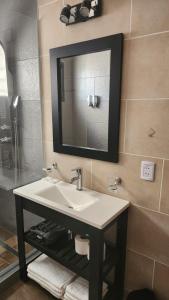卡法亚特DEPARTAMENTOS CIELO DE CAFAYATE的一间带水槽和镜子的浴室