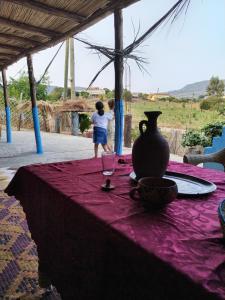 auberge yeswal aoulad yaakoube的紫色桌布上方带花瓶的桌子
