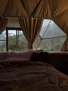 萨利索波利斯Refúgio Santa Helena - Domo Safari的一张位于带大窗户的房间内的床铺