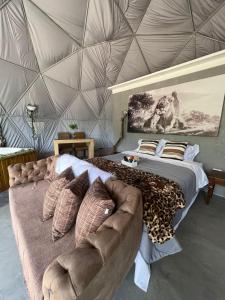 萨利索波利斯Refúgio Santa Helena - Domo Safari的一间卧室配有一张大床和一张沙发
