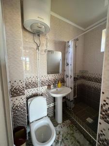 博斯特里Гостевой дом RAZAM的一间带卫生间和水槽的浴室