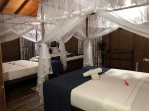 锡吉里亚Galaxy View Homestay Sigiriya的白色窗帘间内的两张床