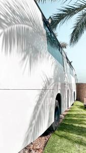 米纳Leobus-לאו באס的停在棕榈树旁边的白色巴士