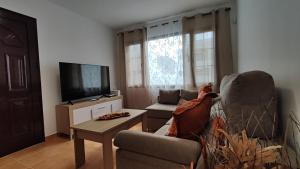 亚伊萨Villa Tingafa的带沙发和电视的客厅