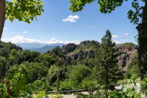贝洛格拉奇Хотел "Скалите", Skalite Hotel的从山顶上可欣赏到峡谷景色