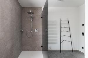 阿特湖畔施泰因巴赫Kaisigen43的浴室设有淋浴,配有梯子