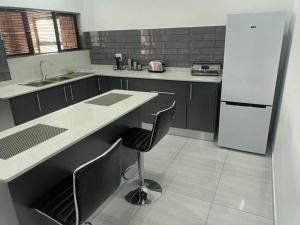 KingsboroughLotus Accommodation的厨房配有柜台、水槽和冰箱。