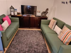 Vila NovaCasa dos Pedro´s的客厅配有两张绿色沙发和一台电视机