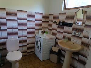 耶什赫维采Pension U Stašáků的一间带洗衣机和水槽的浴室