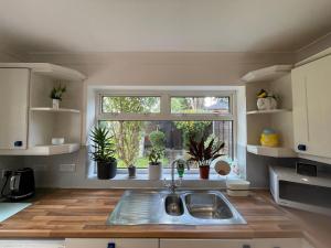 阿德尔斯通Addlestone Tranquil Spacious Three Bedroom Bungalow的一个带水槽的厨房和一个种有盆栽植物的窗户