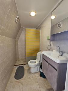 瓦迪拉姆Sun Luxury Rum Camp的一间带卫生间和水槽的浴室