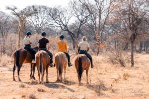 OtaviGabus Safari Lodge的一群在田野里骑马的人