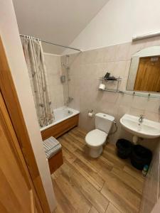 斯伽尔达公园宾馆的浴室配有卫生间、盥洗盆和浴缸。