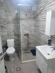 Kosovo PoljeApartment Dastidi的带淋浴、卫生间和盥洗盆的浴室