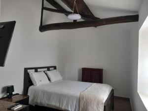 TentúgalQuinta do Mourão的一间卧室配有一张床和吊扇