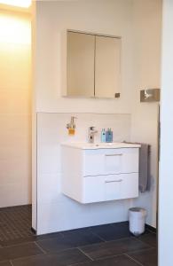 哈尔堡Appartement Burgblick的浴室设有白色水槽和镜子