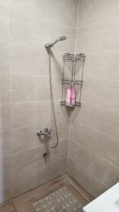 ḤurfeishHar-Adir B&B的浴室内配有淋浴和头顶淋浴