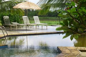 锡吉里亚WILD FORTRESS HOTEL Sigiriya的一组椅子和一把遮阳伞,位于游泳池旁