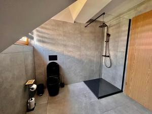 布莱德Vila Milan的浴室设有步入式淋浴间,位于厕所旁边