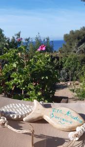 圣拉斐尔VILLA ANADINE - Aiguebonne BOULOURIS - PLEINE VUE MER - À 5 minutes à pied de la plage - Climatisée的坐在桌子顶上的木星鱼