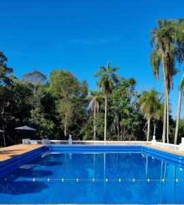 埃尔多拉多Hotel ACA Eldorado的一座种植了棕榈树的蓝色游泳池