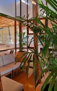 埃尔多拉多Hotel ACA Eldorado的带沙发和植物的客厅