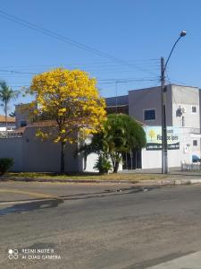 特林达迪Pousada Flor Dos Ipês的一条有建筑的街道和一棵有黄叶的树