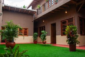 昆卡Casa Suite Campana的绿草和植物的庭院