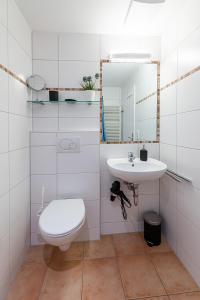 费尔德伯格Schwarzwaldhimmel的白色的浴室设有卫生间和水槽。