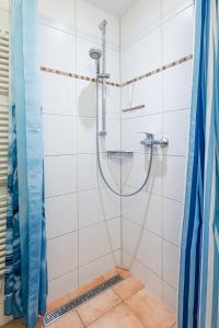 费尔德伯格Schwarzwaldhimmel的带淋浴和浴帘的浴室