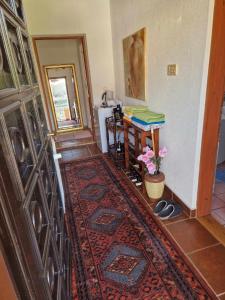 GračanicaApartment Kula的一间客厅,地板上铺有地毯