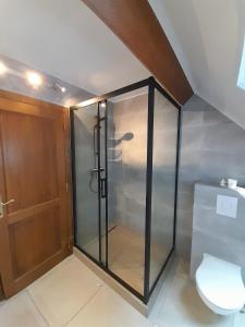 斯帕Au bord de l'Orléans的一间带卫生间的浴室内的玻璃淋浴间