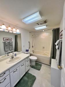 科迪亚克The State Room - Cliffside, Ocean Views的浴室配有盥洗盆、卫生间和浴缸。