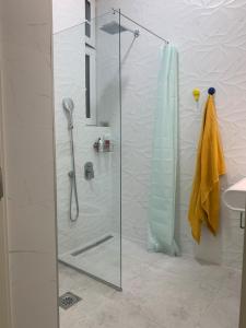 贝尔格莱德Sunlit artist studio的浴室里设有玻璃门淋浴
