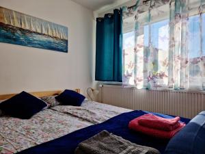 奥古斯图Apartament Cicho Sza的一间卧室配有床和蓝色窗帘的窗户